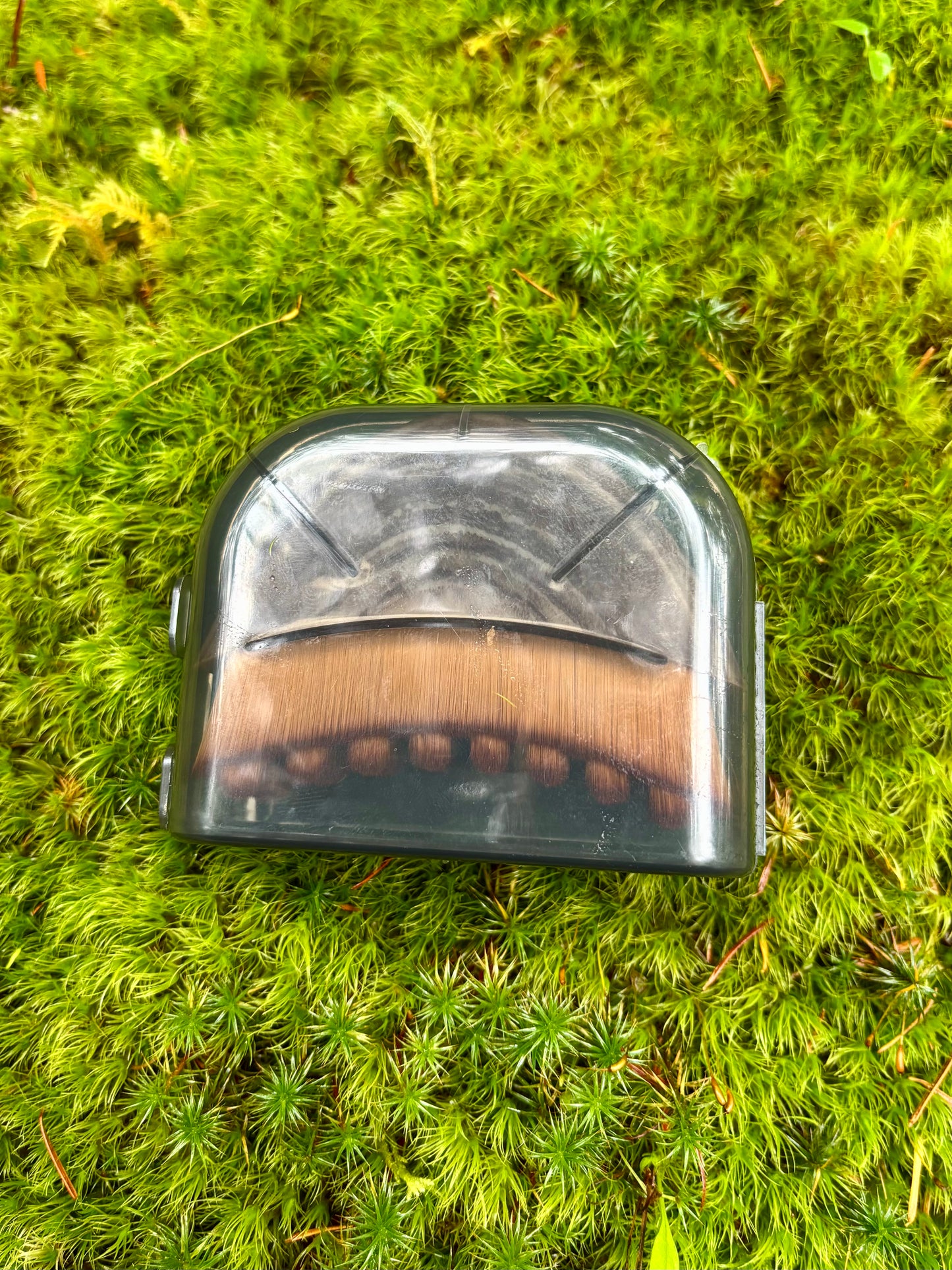 Gentle Lymphatic Brush